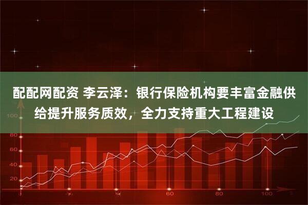 配配网配资 李云泽：银行保险机构要丰富金融供给提升服务质效，全力支持重大工程建设
