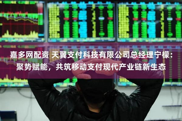 嘉多网配资 天翼支付科技有限公司总经理宁檬：聚势赋能，共筑移动支付现代产业链新生态